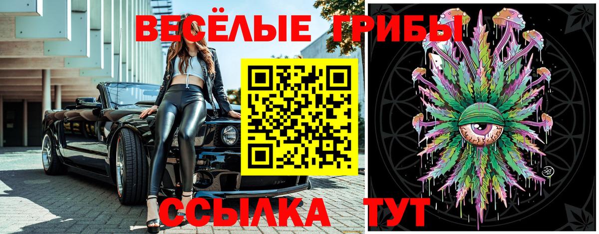 Апрелевка  Псилоцибиновые грибы MAGIC MUSHROOMS  Вход с VPN 