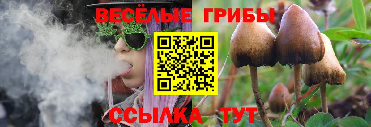 Галлюциногенные грибы GOLDEN TEACHER Апрелевка
